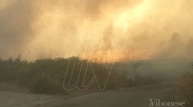 Vasto incendio nel Vibonese, chiesto l’intervento dei mezzi aerei