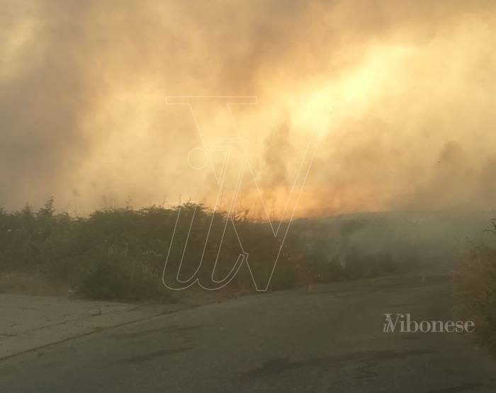 Vasto incendio nel Vibonese, chiesto l’intervento dei mezzi aerei