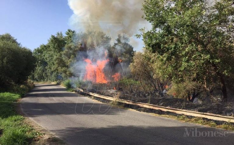 Prevenzione degli incendi, a Sant’Onofrio obbligo tassativo di ripulire i terreni privati