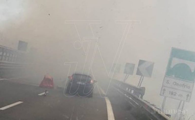 Allarme incendi nel Vibonese, le fiamme lambiscono l’autostrada nei pressi di Sant’Onofrio