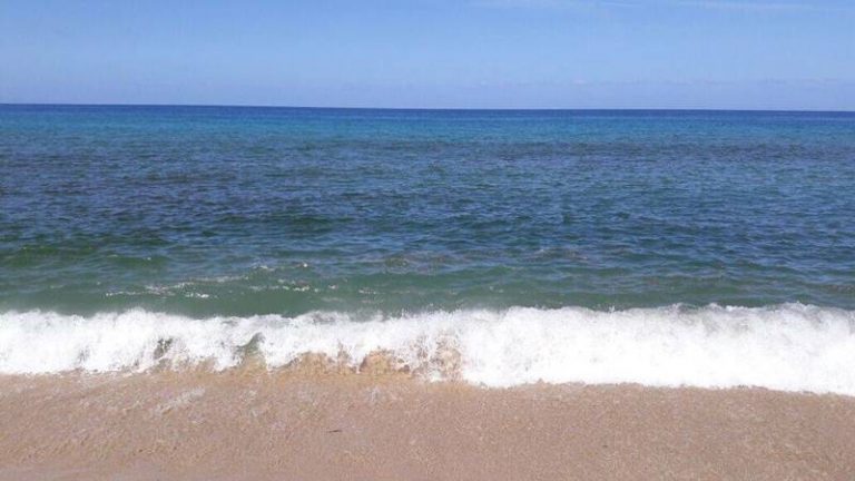 Nel mare di Nicotera torna la “fioritura algale”, l’Arpacal esclude inquinamento fecale