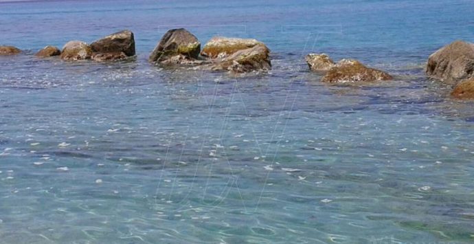 Mare sporco a Capo Vaticano e Tropea: le prime segnalazioni (FOTO)