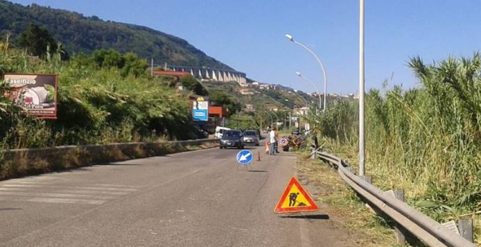 Strade invase da sterpaglie, una “giungla” che imperversa lungo la viabilità vibonese