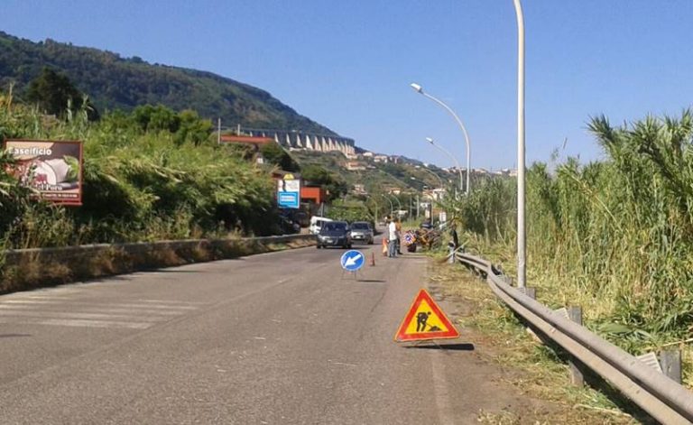 Strade invase da sterpaglie, una “giungla” che imperversa lungo la viabilità vibonese