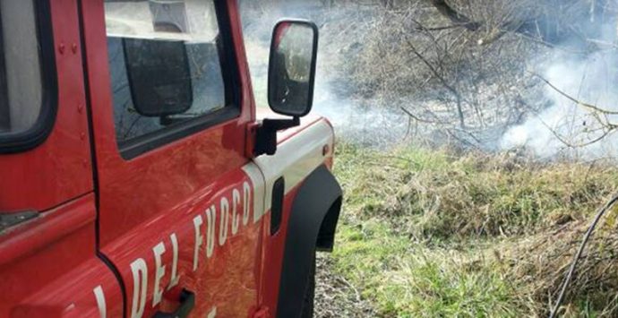 Uliveto in fiamme nel Vibonese, donna muore intossicata dal fumo