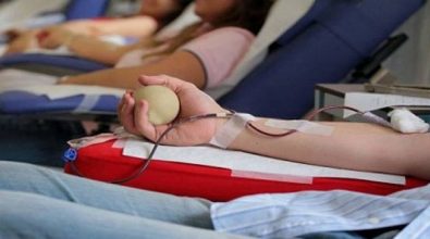 “Politici, donate il sangue anziché succhiarlo”: la trovata dell’Avis di Vibo per incentivare i prelievi