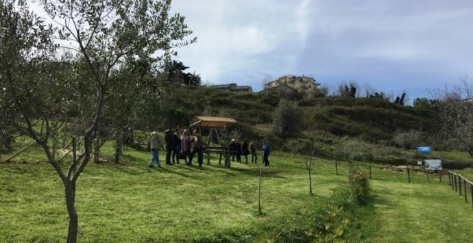 A Vibo l’“Agri cool tour Festival”, Francesca Incudine si esibisce nella fattoria “Junceum”