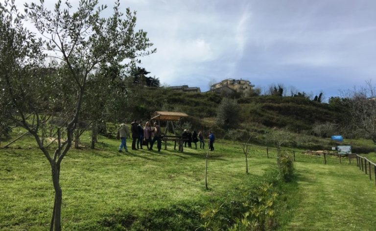 Vibo, la fattoria dell’associazione “La goccia” apre le porte ai ragazzi a rischio