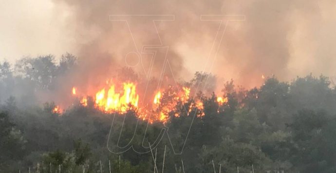 Incendi nel Vibonese, Russo (Confail): «Territorio sempre più esposto a rischi»