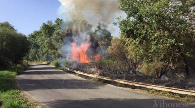 Emergenza incendi, dalla Flai-Cgil un plauso ai forestali calabresi