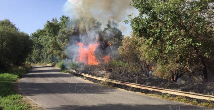 Emergenza incendi, dalla Flai-Cgil un plauso ai forestali calabresi