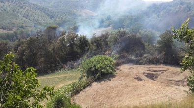 Incendi nel Vibonese, in poche ore oltre 20 interventi dei Vigili del fuoco