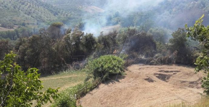 Incendi nel Vibonese, in poche ore oltre 20 interventi dei Vigili del fuoco