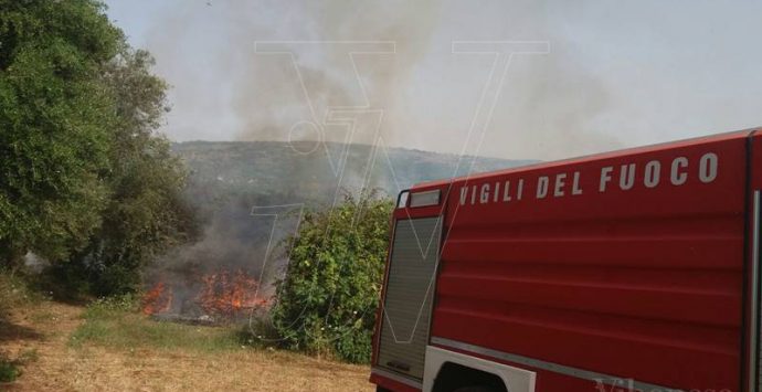 Vasto incendio a Ricadi, panico tra i turisti del “Sunshine” (FOTO)