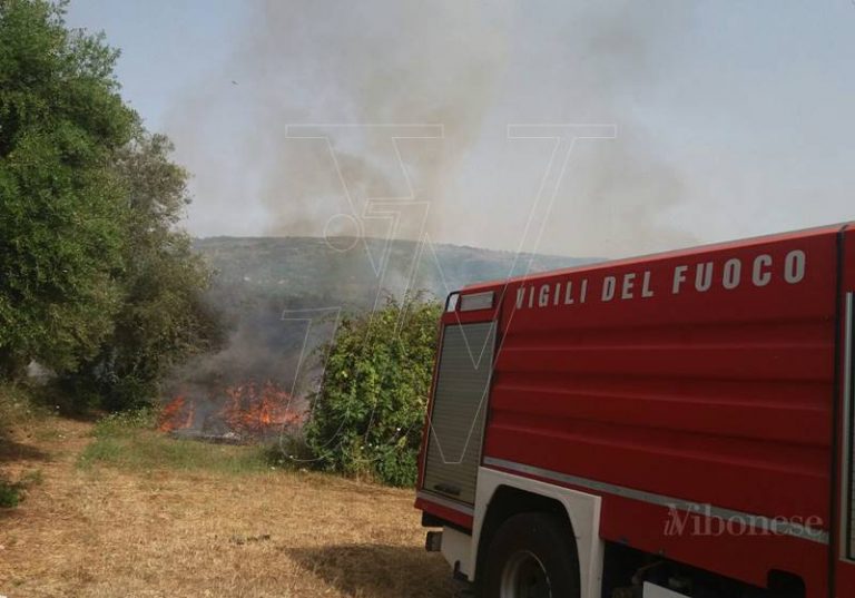 Vasto incendio a Ricadi, panico tra i turisti del “Sunshine” (FOTO)