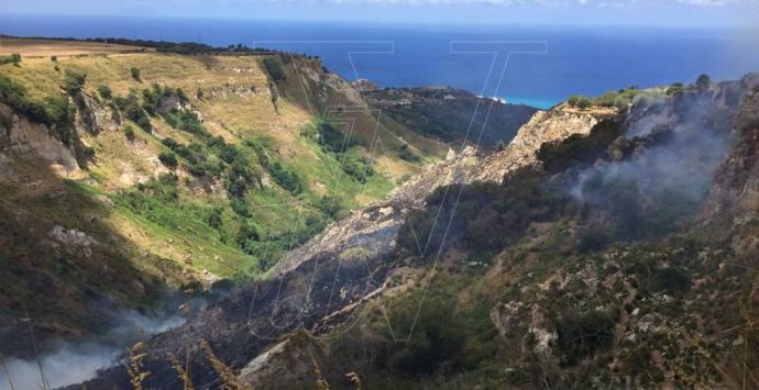 Vasto incendio a Zaccanopoli, le fiamme minacciano un allevamento (VIDEO)