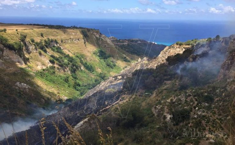 Vasto incendio a Zaccanopoli, le fiamme minacciano un allevamento (VIDEO)