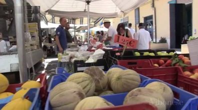 Il mercato di Vibo Marina trasloca in centro: partenza tra luci e ombre (VIDEO)