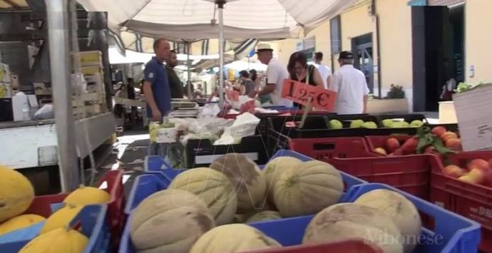 Il mercato di Vibo Marina trasloca in centro: partenza tra luci e ombre (VIDEO)