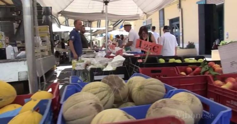 Il mercato di Vibo Marina trasloca in centro: partenza tra luci e ombre (VIDEO)