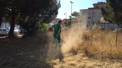 Degrado a due passi dall’ospedale di Vibo, il Comune ripulisce l’area (FOTO/VIDEO)