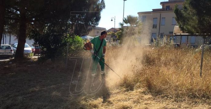 Degrado a due passi dall’ospedale di Vibo, il Comune ripulisce l’area (FOTO/VIDEO)