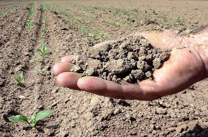 Calabria a forte rischio siccità: fiumi e laghi della regione sono oramai a secco