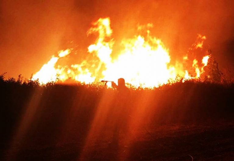 VIDEO | Fiamme e sudore: viaggio all’inferno con i Vigili del fuoco vibonesi