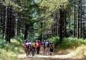Turismo inclusivo e accessibile a Serra San Bruno con il trekking lungo il sentiero Frassati