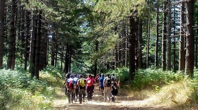 Turismo inclusivo e accessibile a Serra San Bruno con il trekking lungo il sentiero Frassati