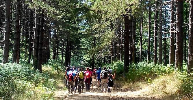 Turismo inclusivo e accessibile a Serra San Bruno con il trekking lungo il sentiero Frassati