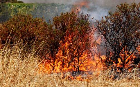 Incendio devasta zona limitrofa al comune di Sorianello