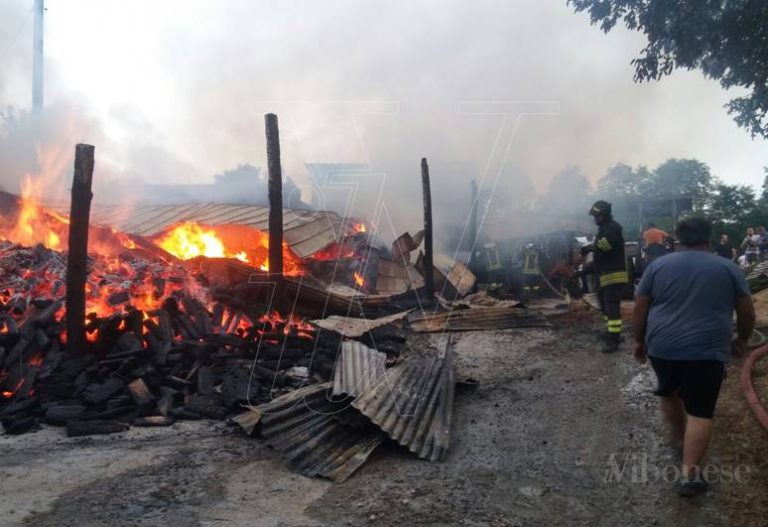 Fienile distrutto da un incendio a San Costantino, i proprietari mettono in salvo gli animali (FOTO)