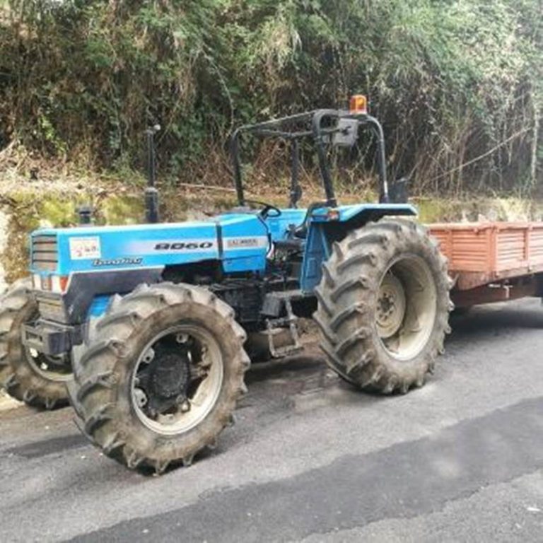 Mileto-Dinami: i ragazzi del Maranathà ripuliscono la strada al posto della Provincia