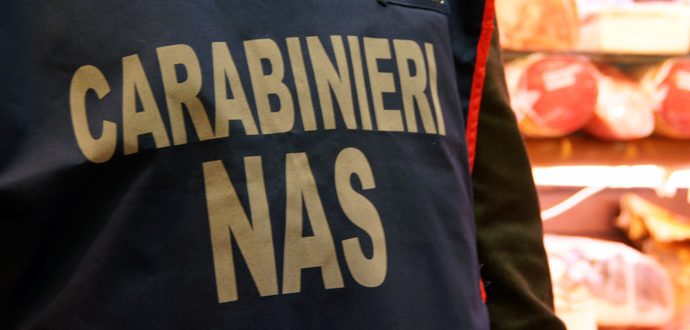 Controlli a tappeto dei carabinieri di Vibo, denunciate sei persone