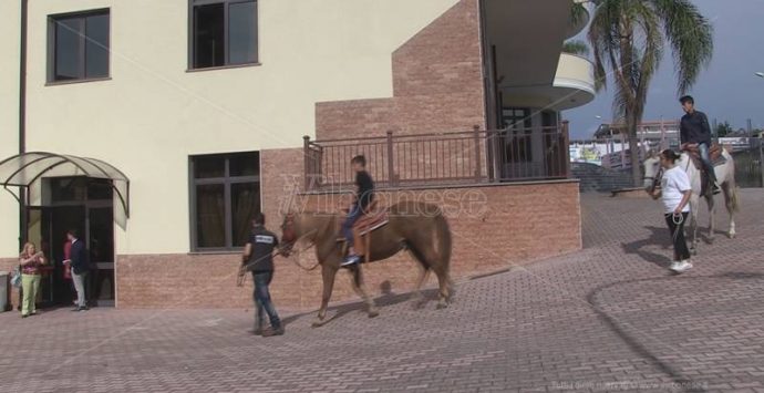 Al liceo “Berto” di Vibo la Giornata europea dello sport (VIDEO)