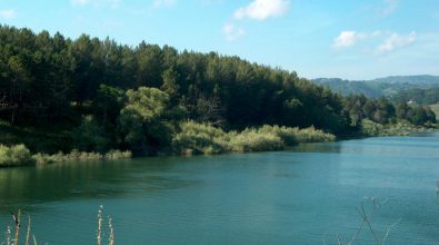 Lago Angitola, Kalabria Trekking traccia il “Sentiero degli aironi”