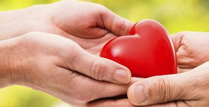 Donazione degli organi: i vibonesi e le loro storie d’amore