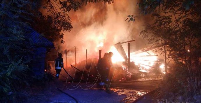 Incendio devasta casolare a Gerocarne, animali arsi vivi tra le fiamme
