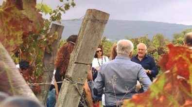 A Brattirò la vendemmia è festa: tra cultura, degustazioni e balli