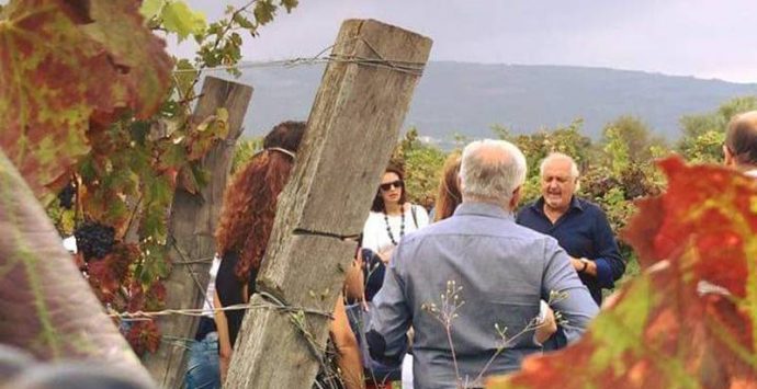 A Brattirò la vendemmia è festa: tra cultura, degustazioni e balli