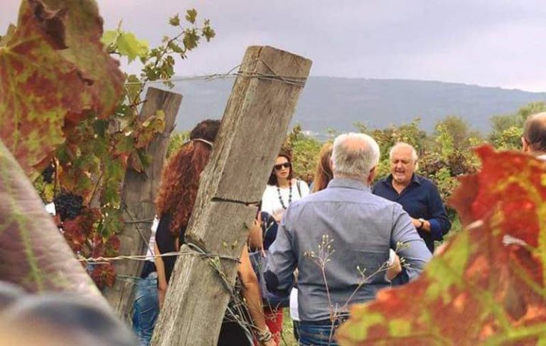 A Brattirò la vendemmia è festa: tra cultura, degustazioni e balli