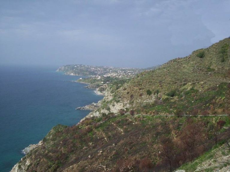 Turista precipita con l’auto lungo il costone di Joppolo, salva per “miracolo”