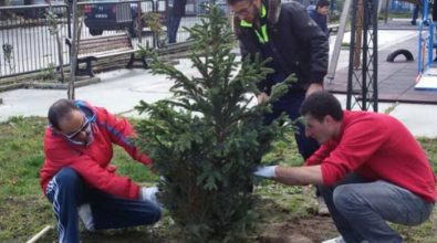 Il Meetup “Vibonesi in movimento” tra nuovi incarichi e iniziative ecologiste