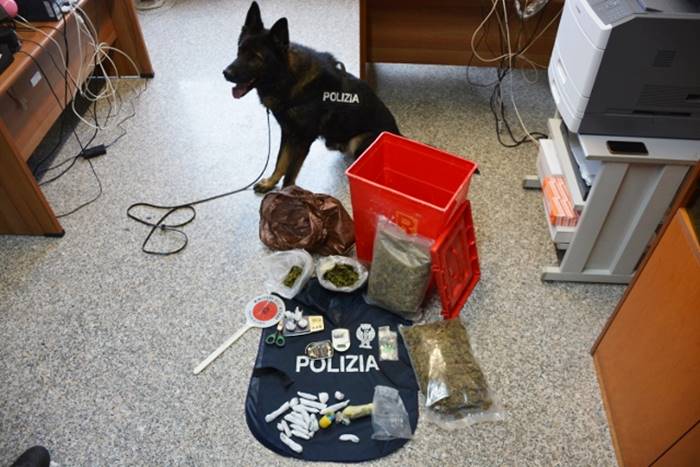 Cocaina, hashish e marijuana, un arresto della polizia a Vibo