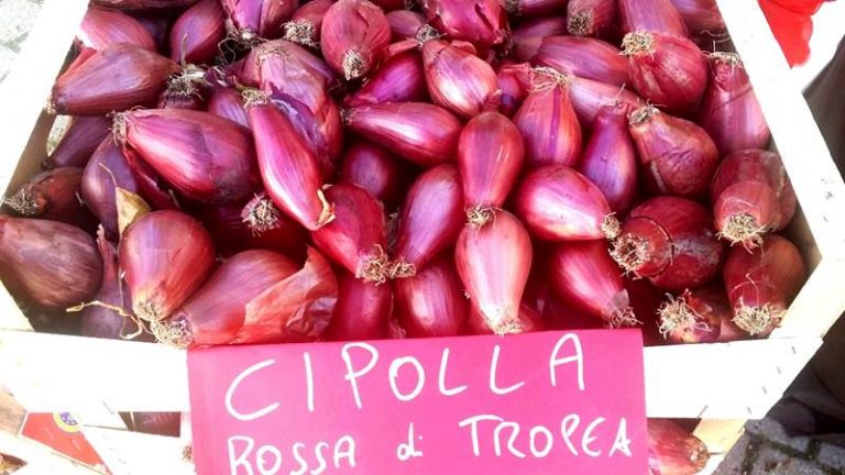 La cipolla rossa di Tropea sbarca alla 18^ edizione di Identità golose