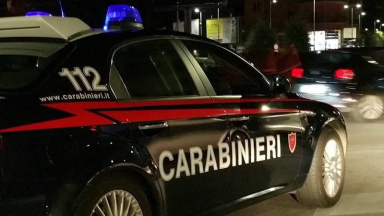 ‘Ndrangheta e narcotraffico: blitz della Dda di Milano anche nel Vibonese, arresti e perquisizioni