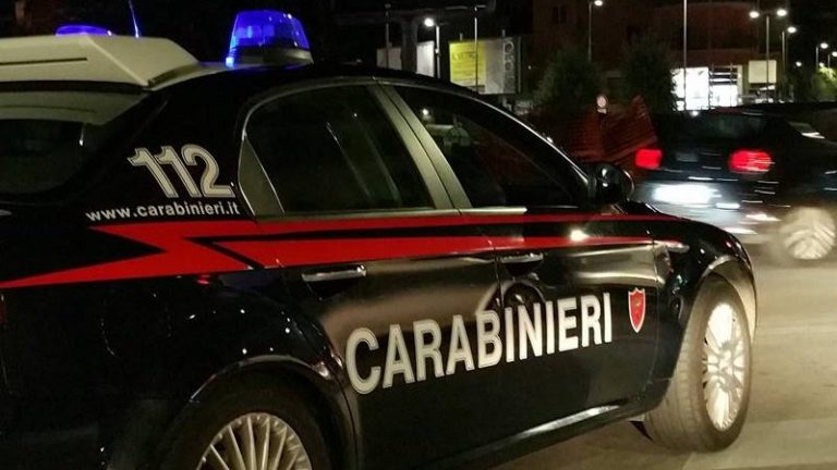 Armi, giro di vite dei carabinieri della provincia di Vibo Valentia