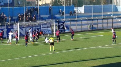 Serie D, la Vibonese aggancia il Gela nel finale: al “Presti” finisce 1-1