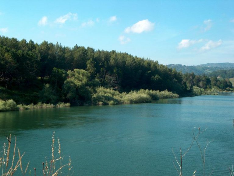 La denuncia del Wwf: «Sostanze ignote nel torrente Reschia, immissario del lago Angitola»